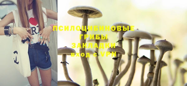 Альфа ПВП Козельск