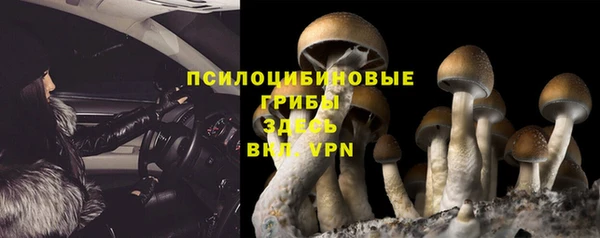 не бодяженный Кодинск