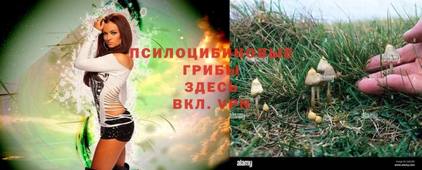 не бодяженный Кодинск