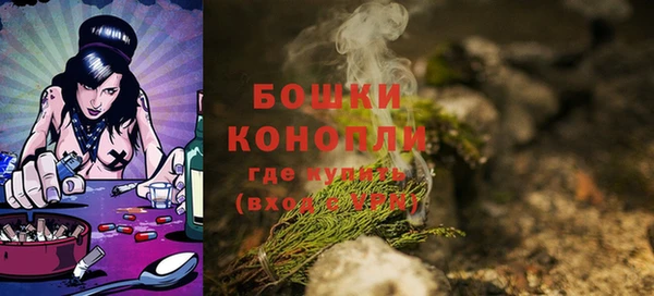 МДПВ Козловка