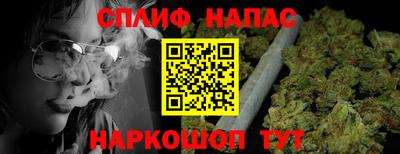 сатива Камышлов