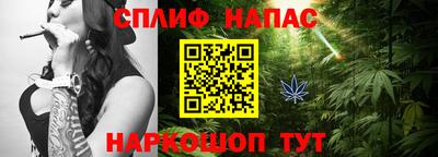 сатива Камышлов
